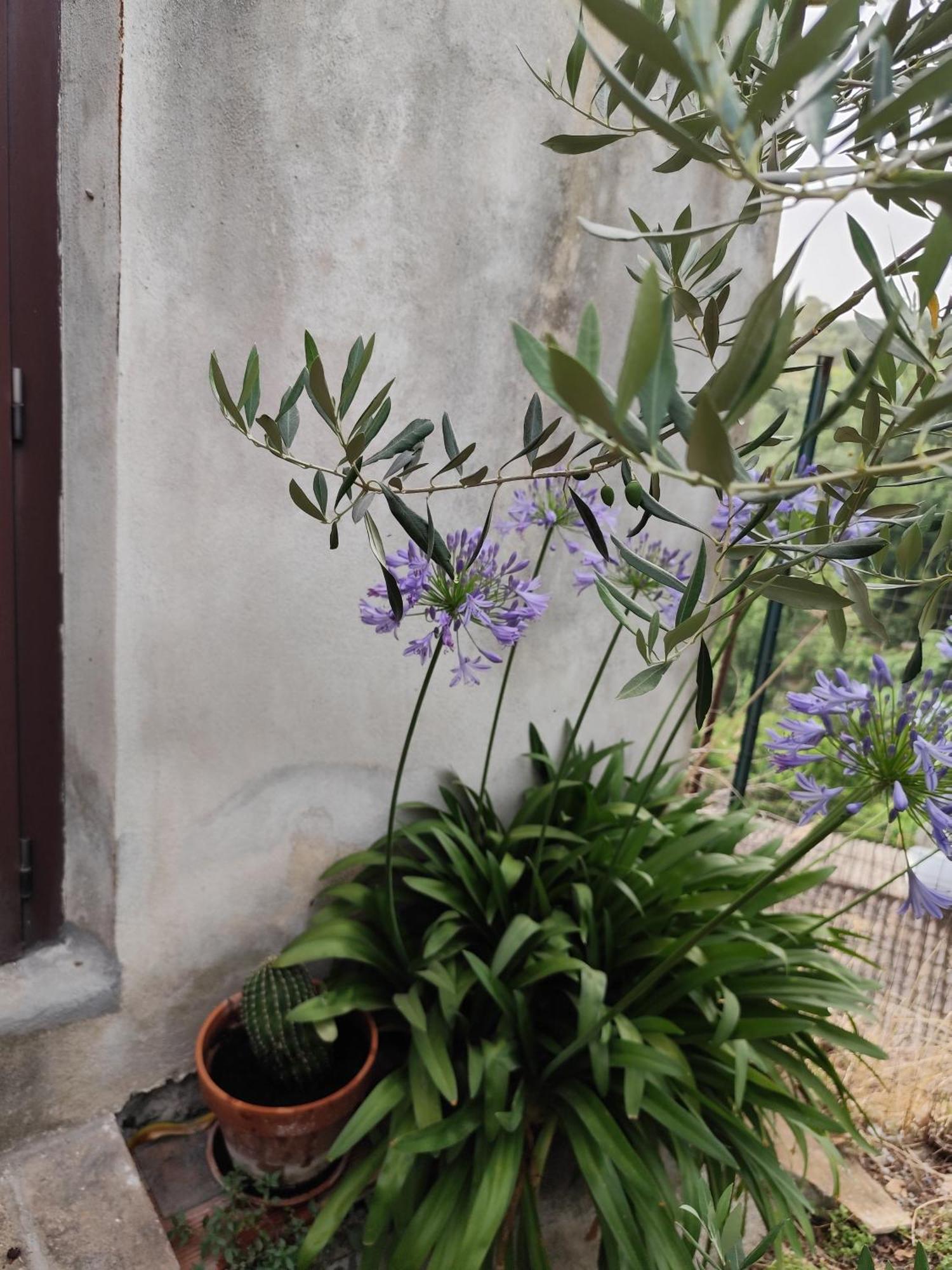 Casa In Antico Borgo Medievale A Tarano Ri, Via Giacomo Leopardi, 15 Villa Екстериор снимка
